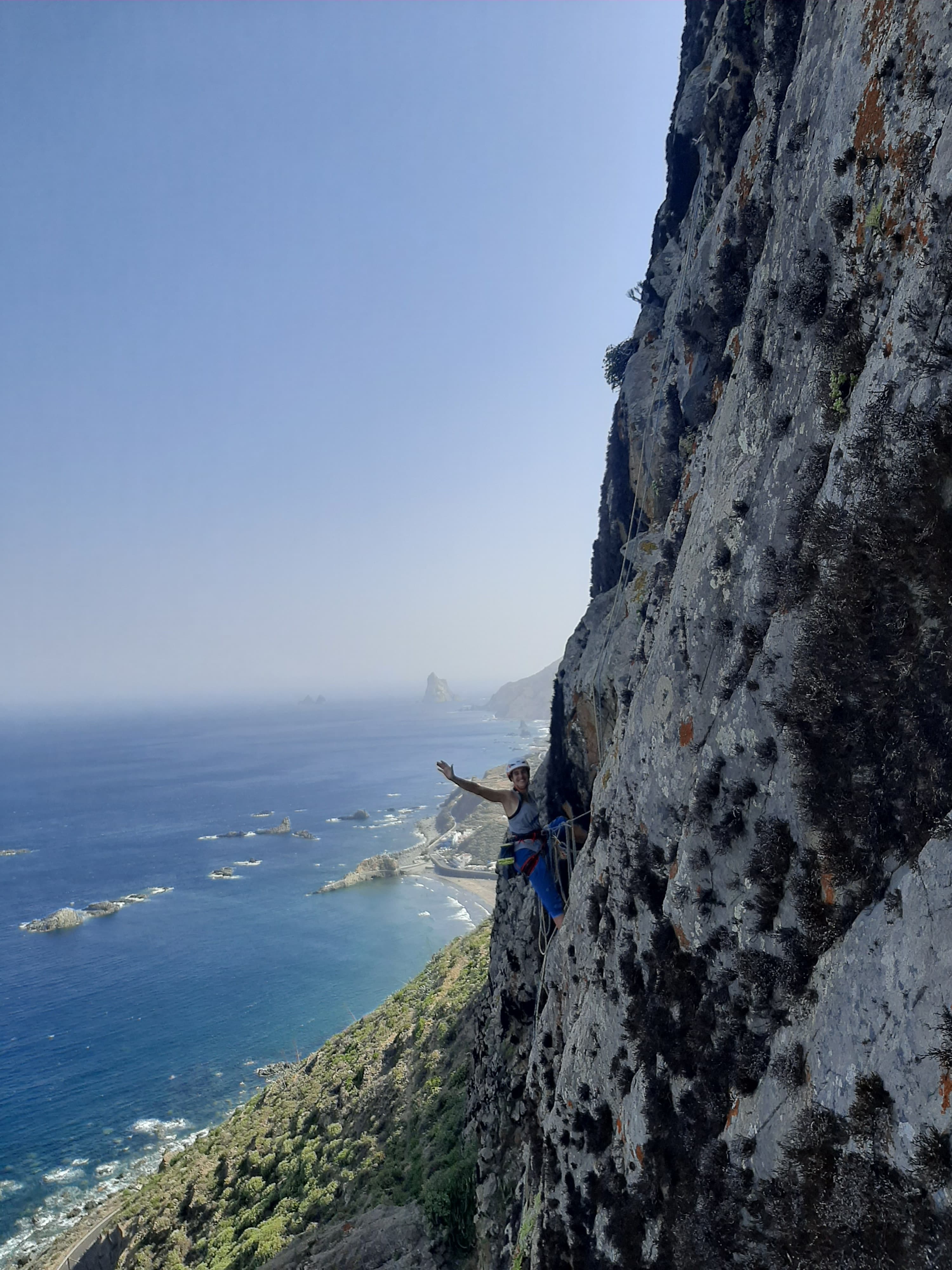 ¿Qué necesitas saber?